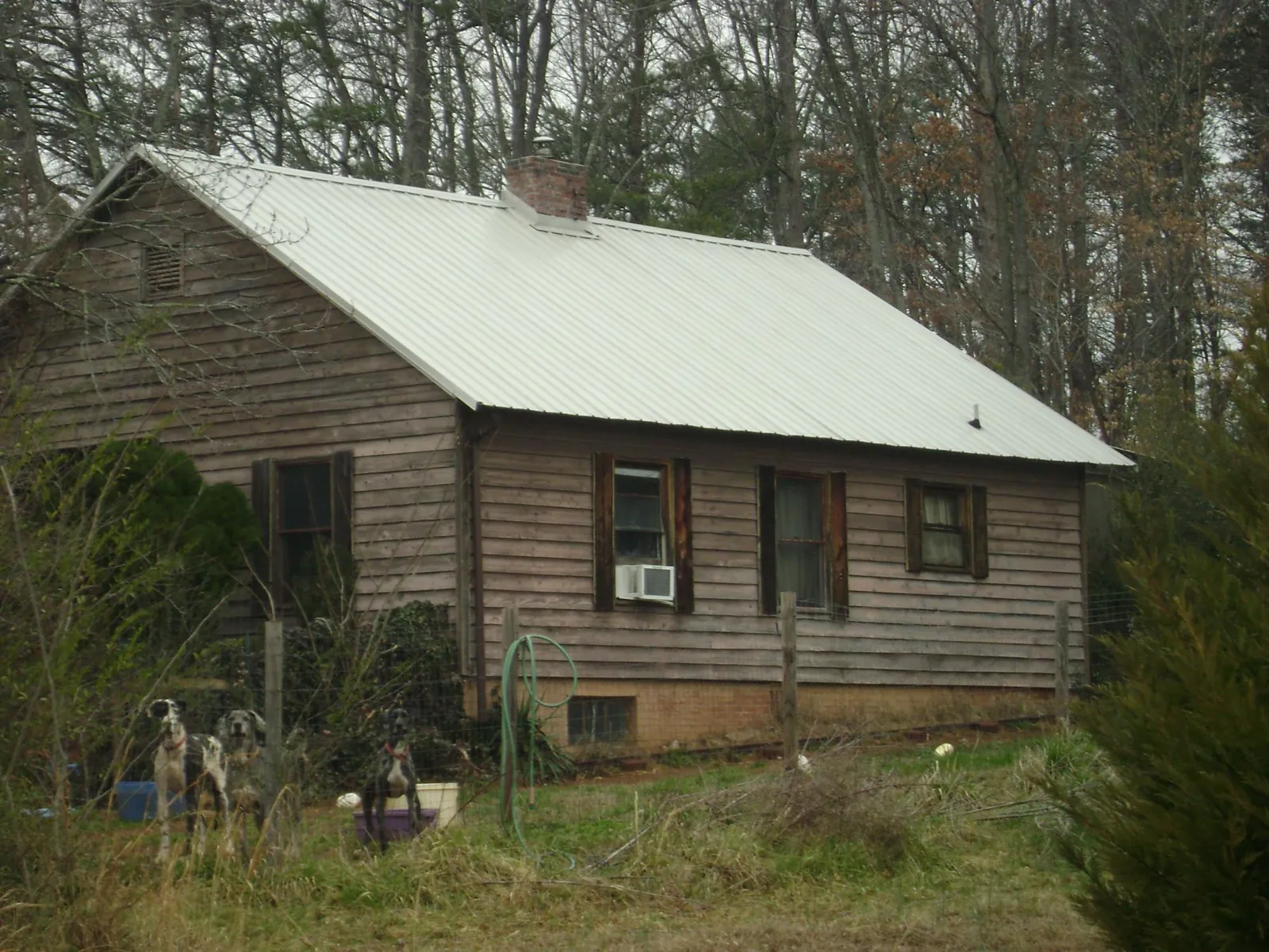 White metal roof on an old wood sided farmhouse, from a Asphalt Shingle Roof Repair job in Harveysburg
